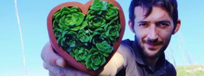 Dário Nemésio - O Meu Amor é Verde